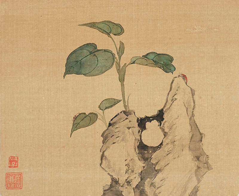 [清代] 居廉《花卉奇石册十二开》