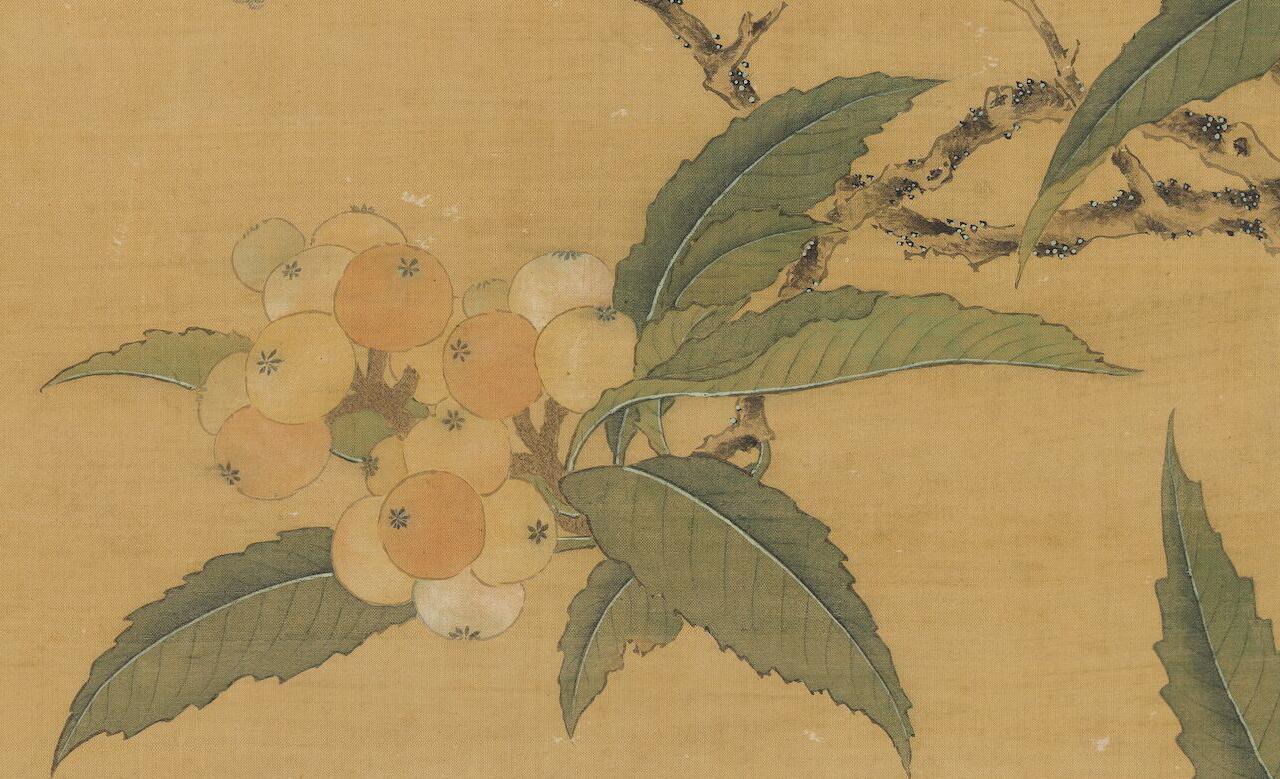 [明] 周之冕《枇杷珍禽图》