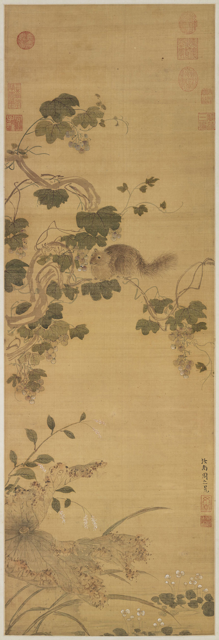 [明] 周之冕《葡萄松鼠图》