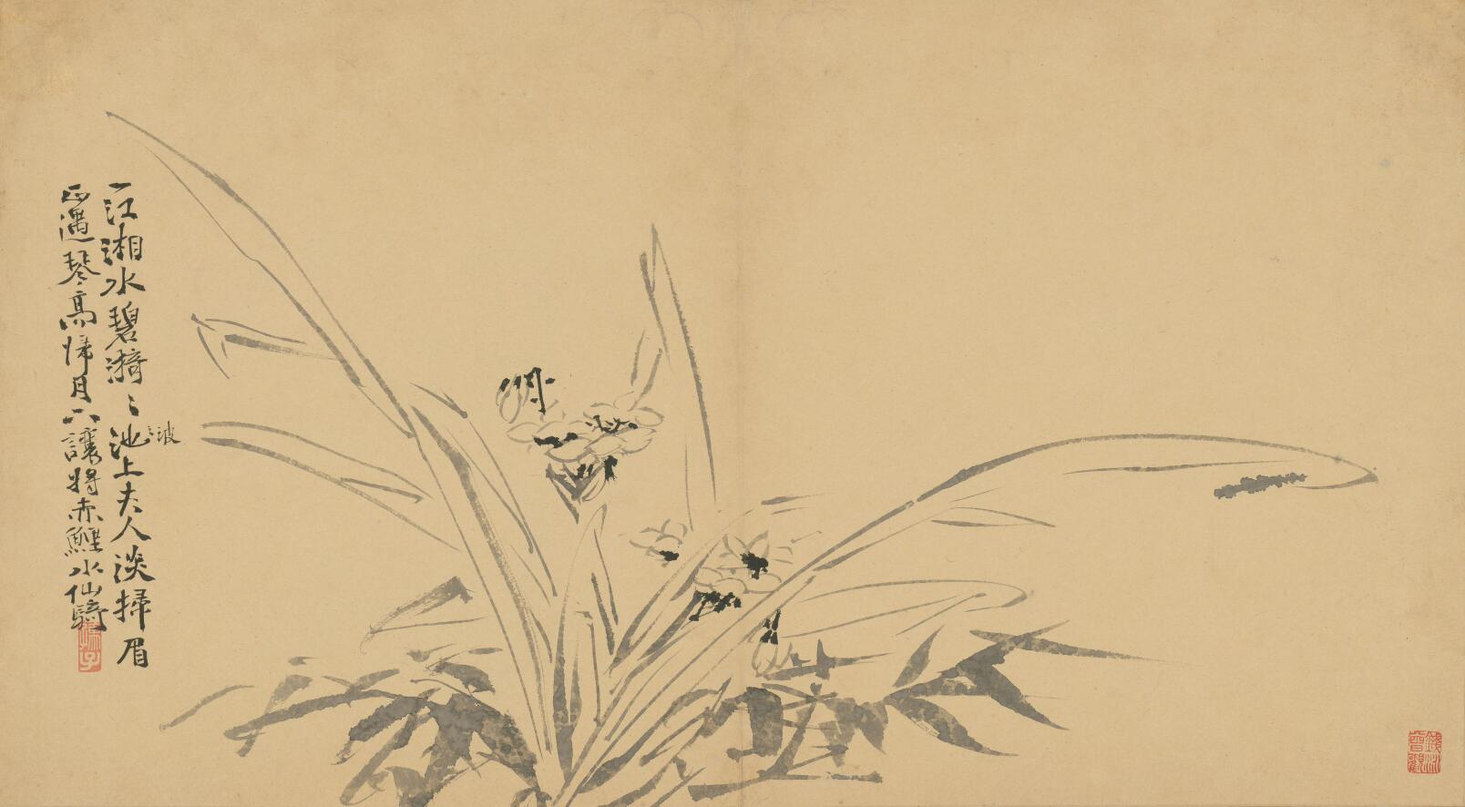 [明] 徐渭《墨花卷》