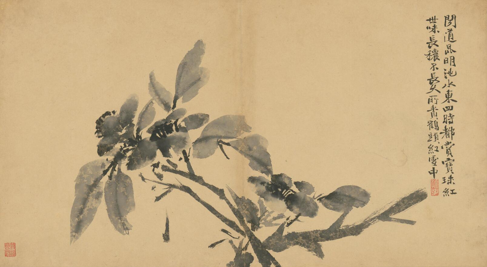 [明] 徐渭《墨花卷》