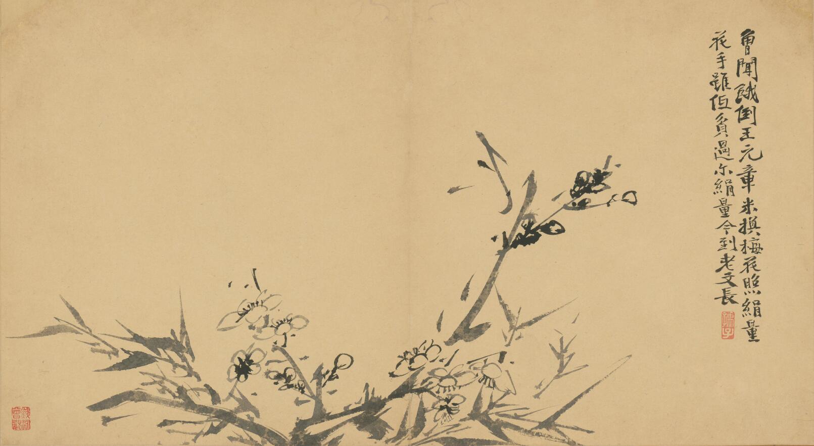 [明] 徐渭《墨花卷》