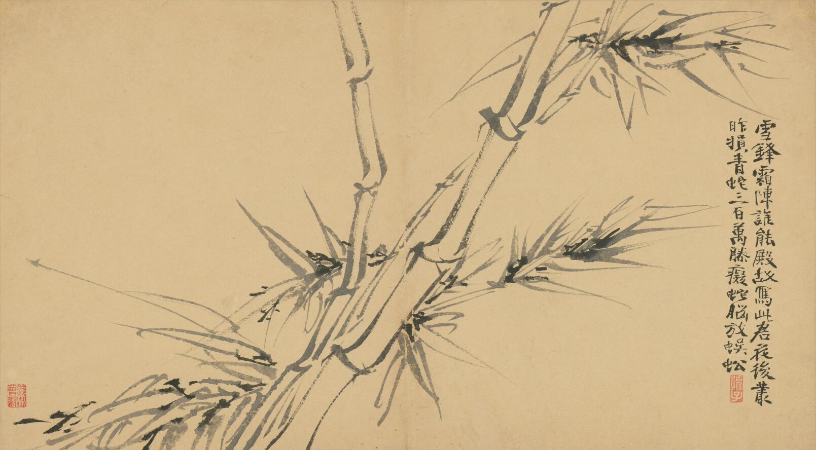 [明] 徐渭《墨花卷》