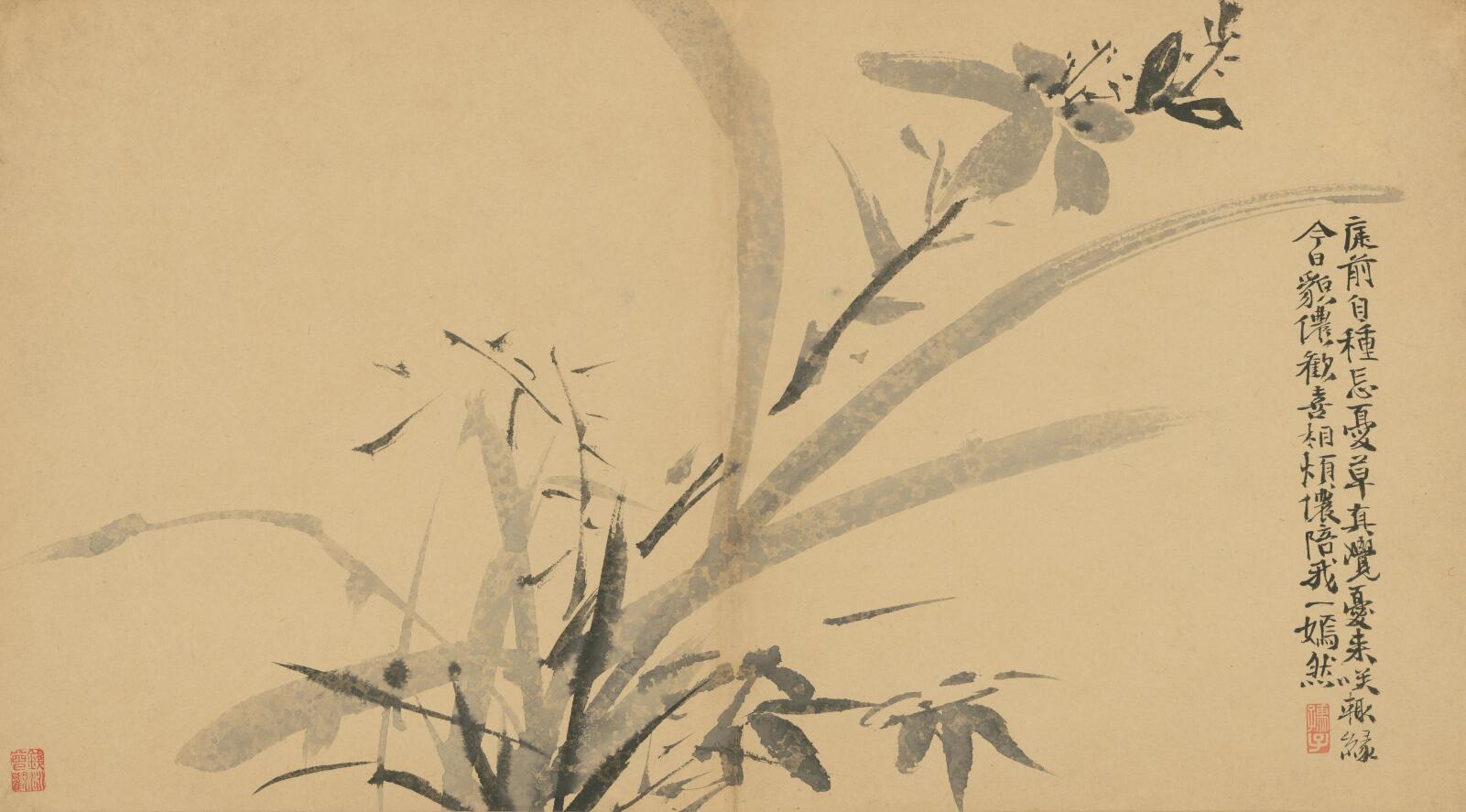 [明] 徐渭《墨花卷》