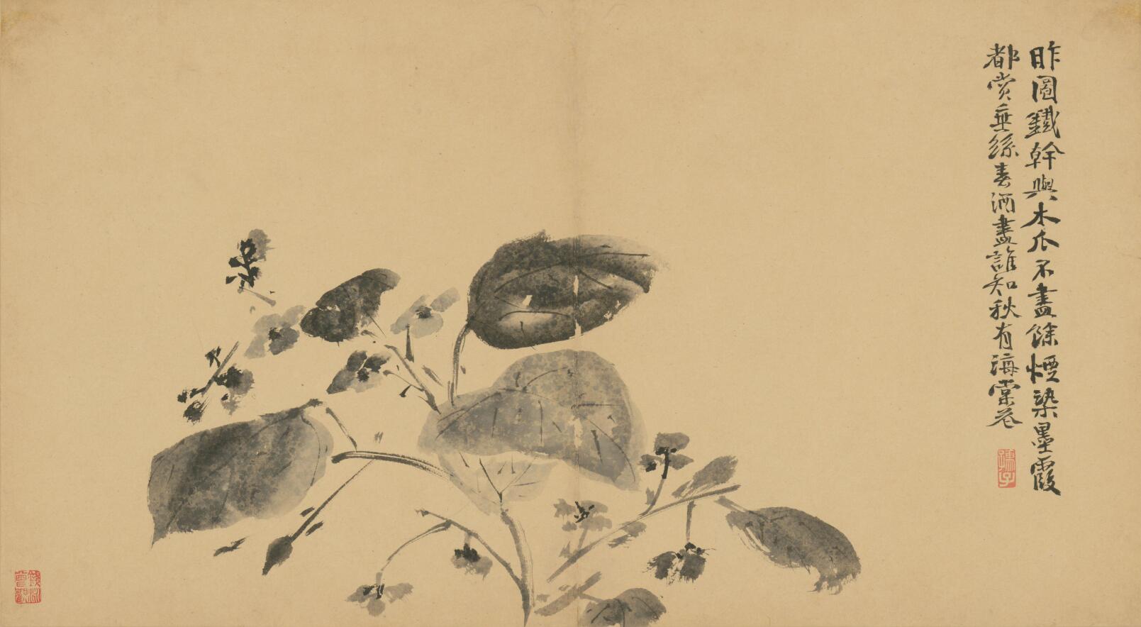 [明] 徐渭《墨花卷》
