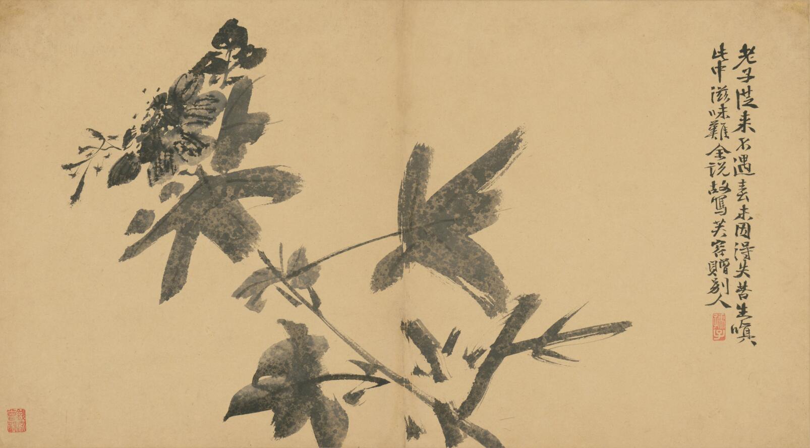 [明] 徐渭《墨花卷》