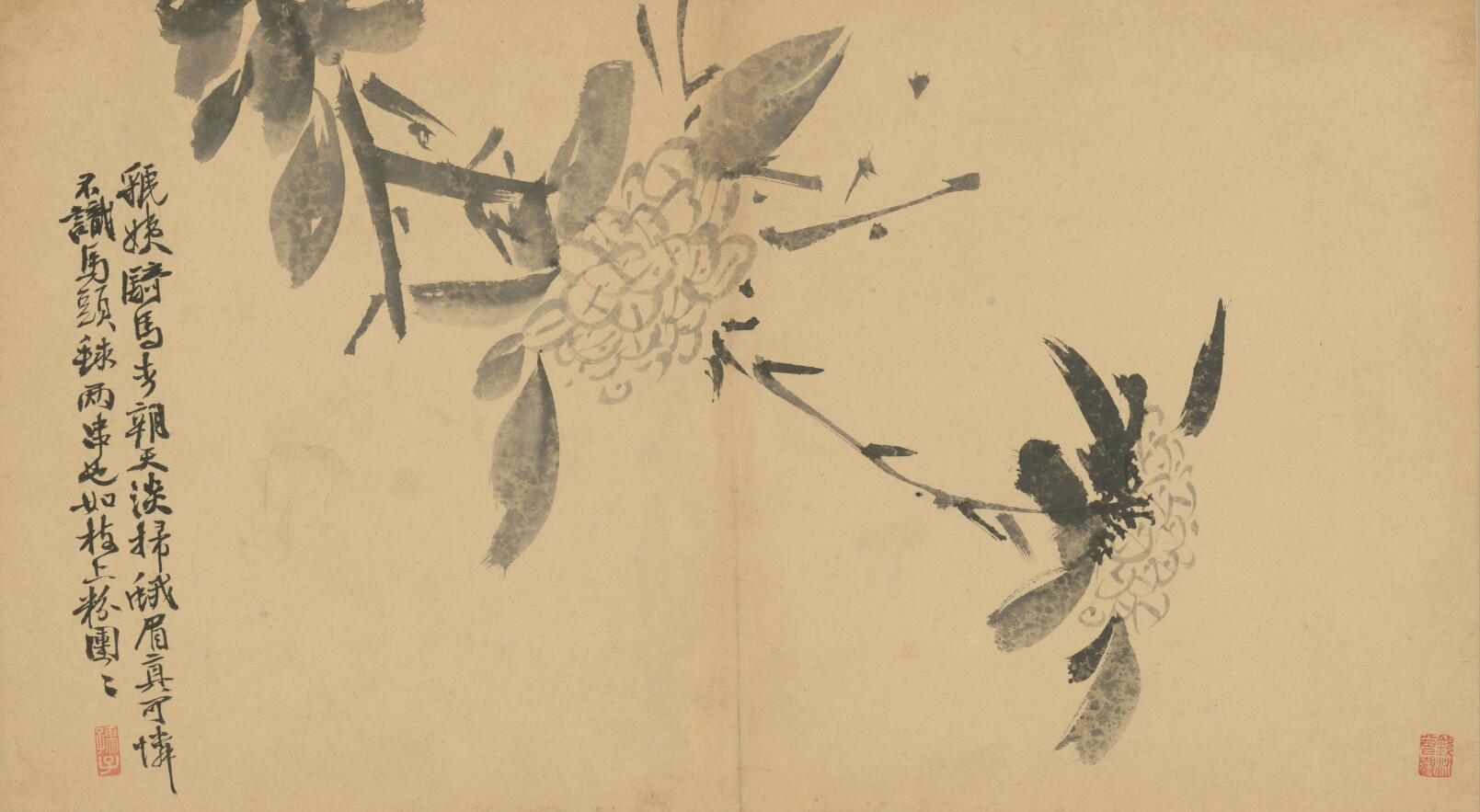 [明] 徐渭《墨花卷》