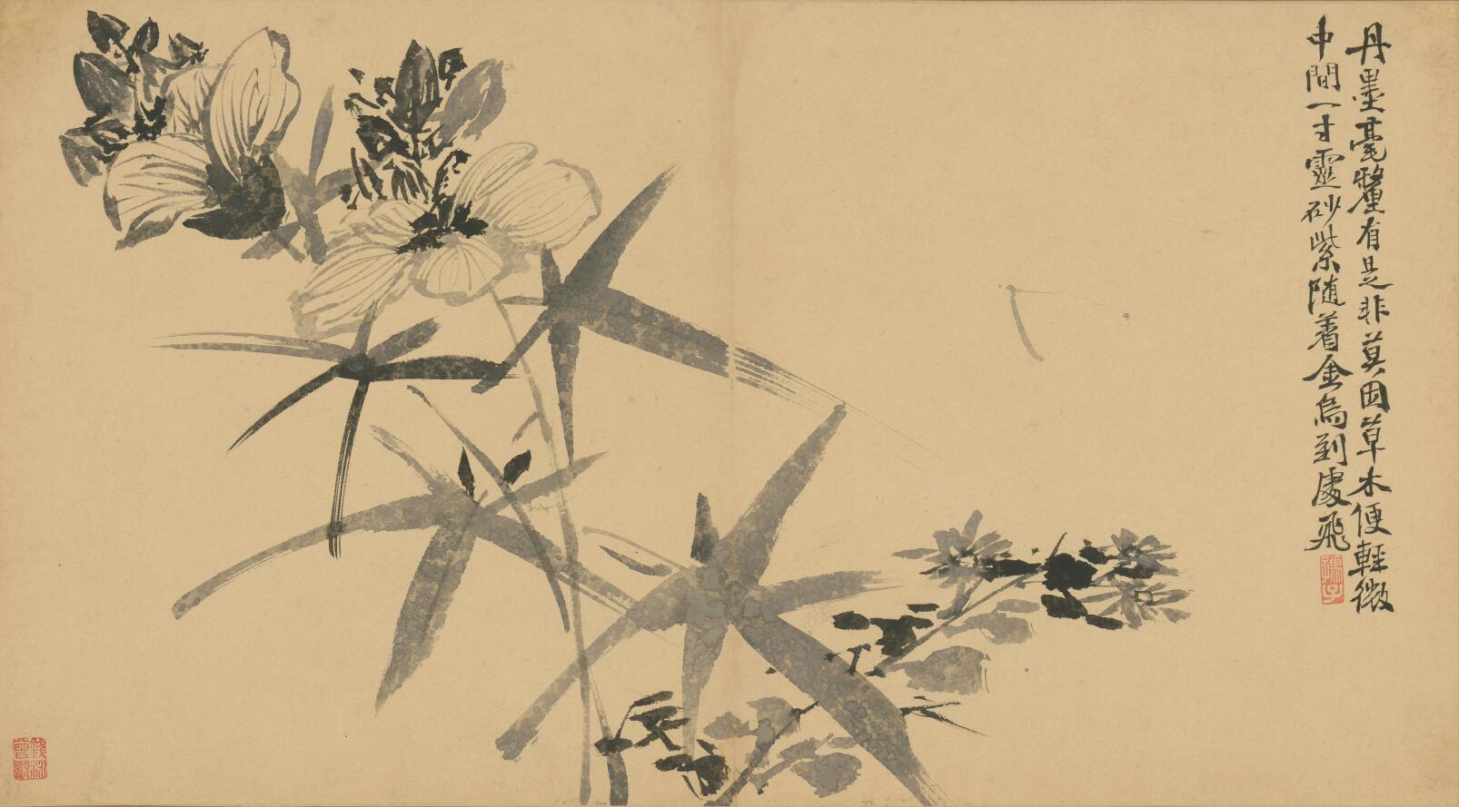[明] 徐渭《墨花卷》