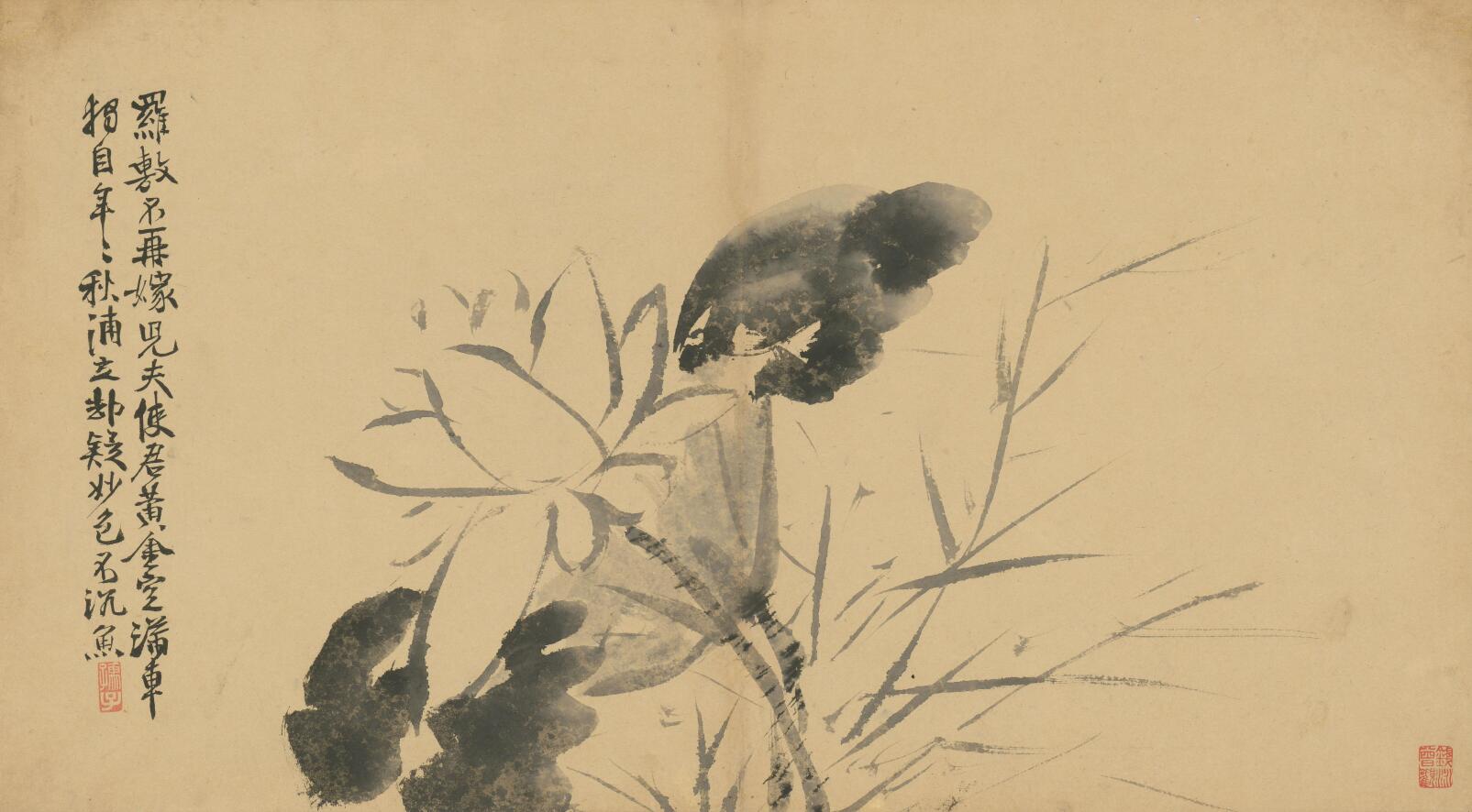 [明] 徐渭《墨花卷》