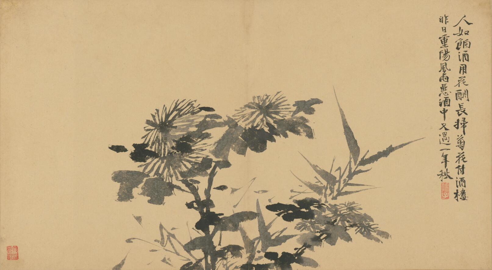 [明] 徐渭《墨花卷》