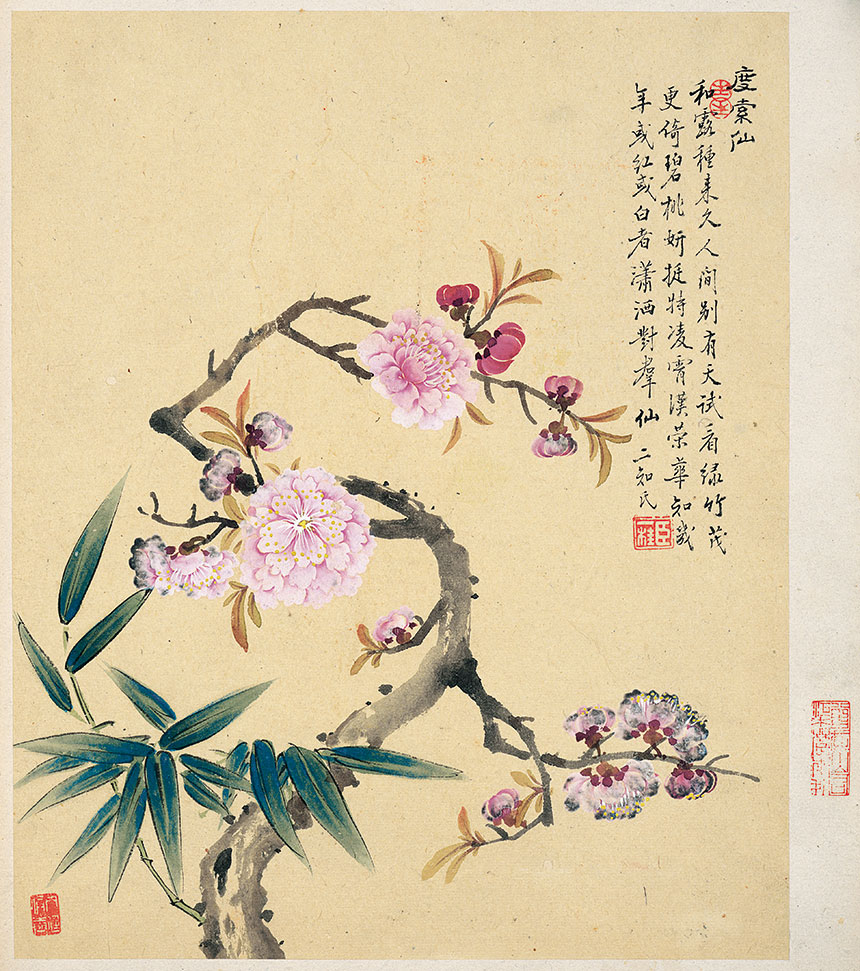 邹一桂《花卉八开-8》