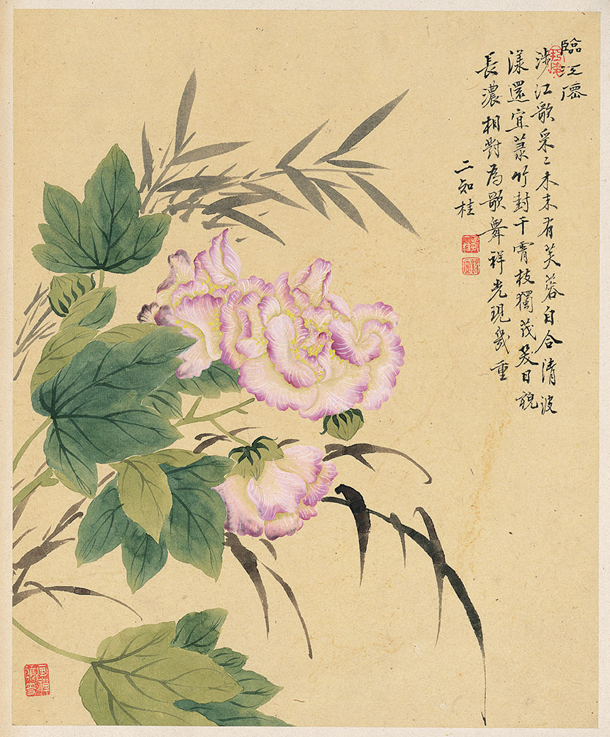 邹一桂《花卉八开-6》