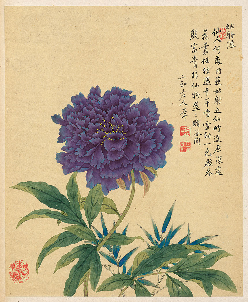 邹一桂《花卉八开-4》