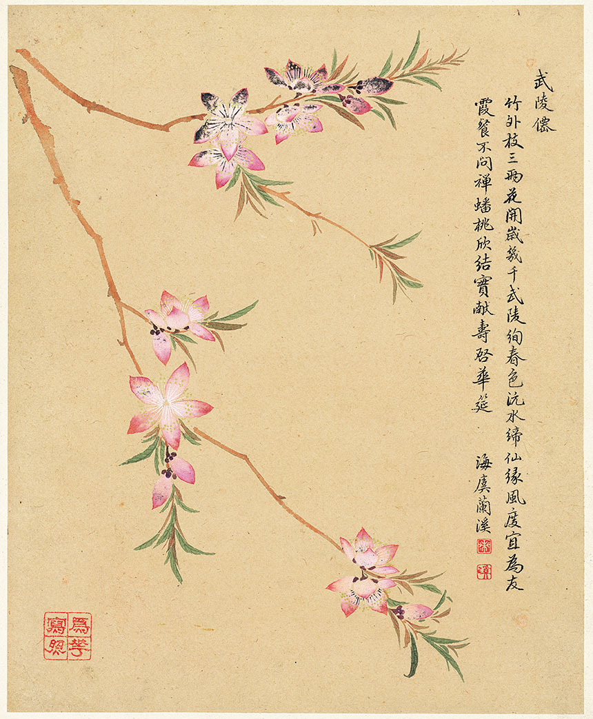 邹一桂《花卉八开-8》