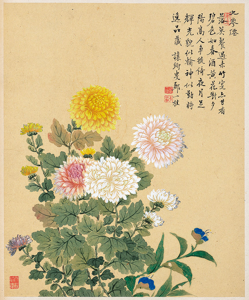 邹一桂《花卉八开-5》