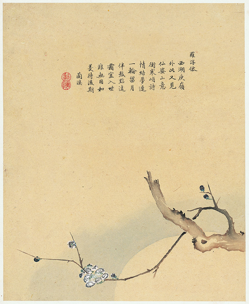邹一桂《花卉八开-8》