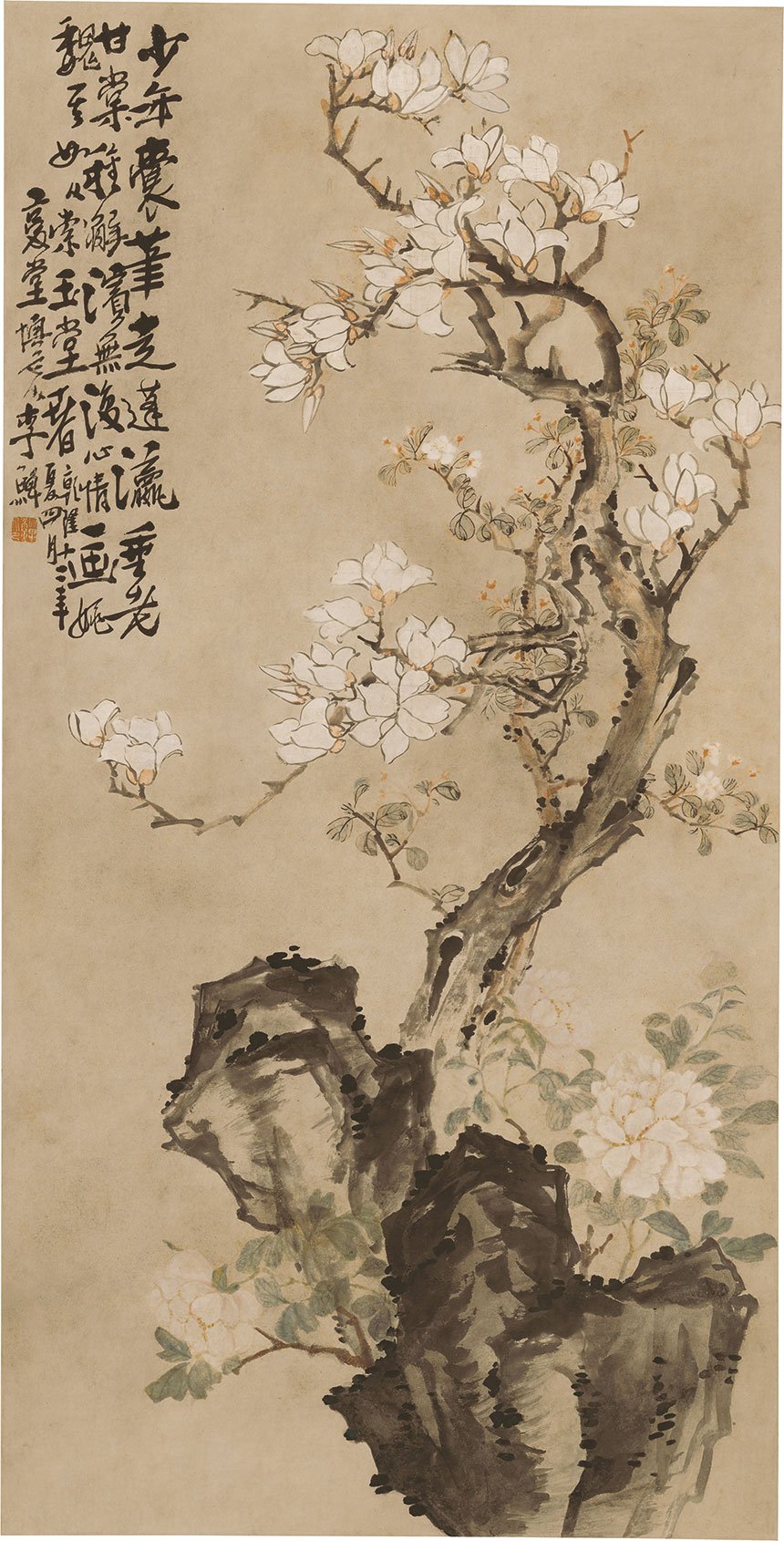 清·李鱓《玉兰牡丹图》
69.8x138.1cm 纸本设色立轴 南京博物院藏