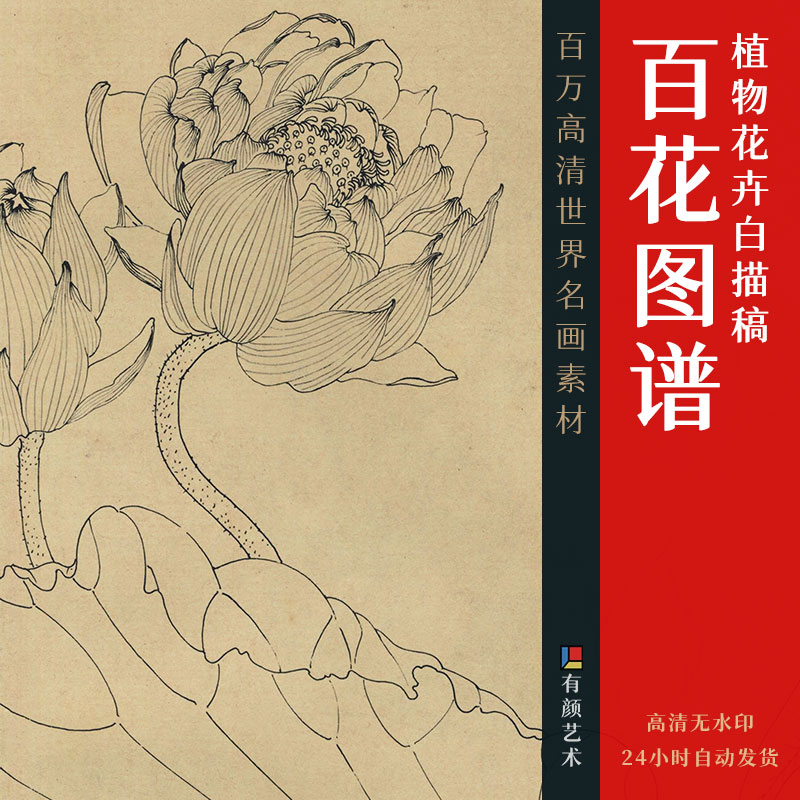 尘封百年珍贵手稿 | 百花图谱白描图100幅