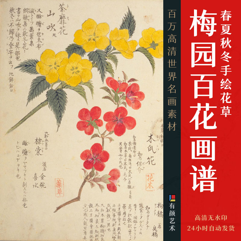 造化之美 | 梅园百花画谱-春夏秋冬手绘花草画集838幅