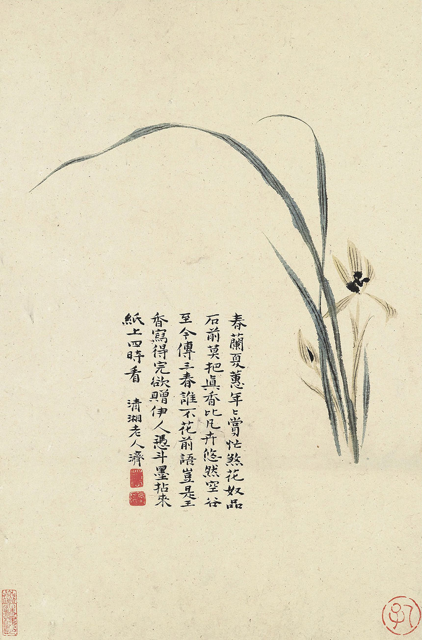 潇洒隽朗,墨法淋漓 | 清·石涛 花卉册十帧