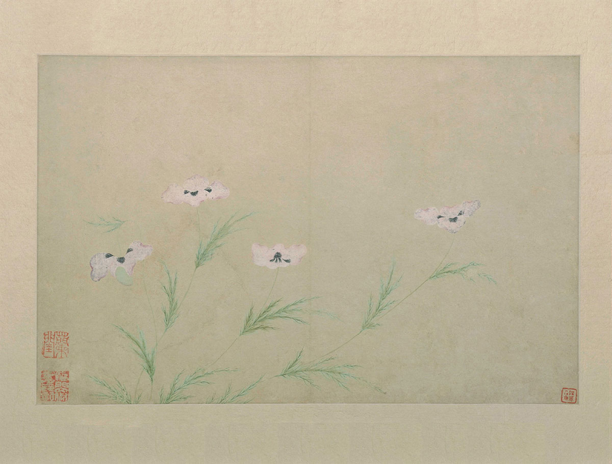 [明] 文俶《花卉图册页》
