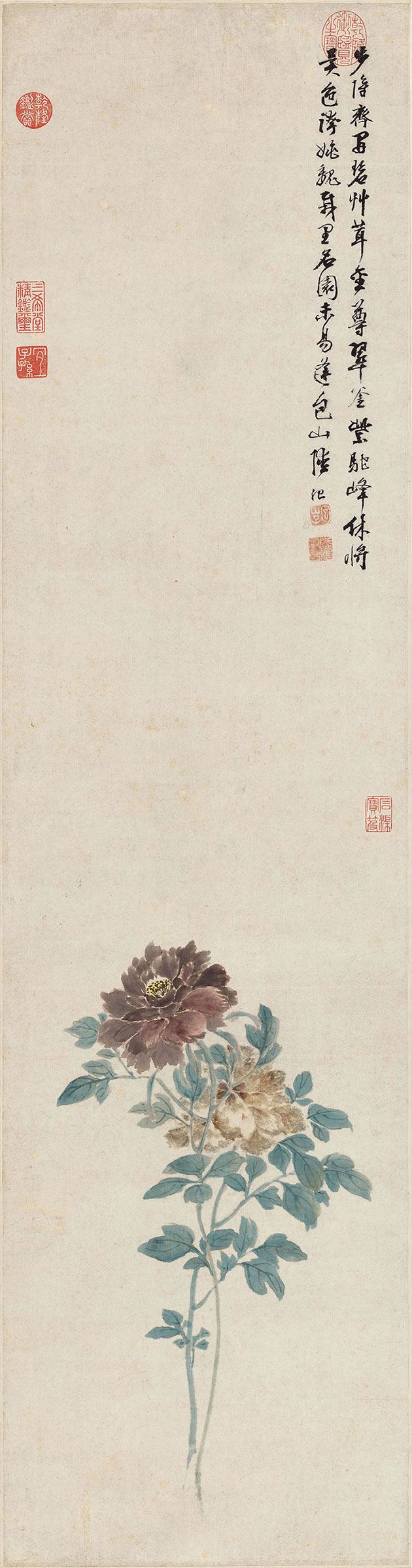 明·陆治《牡丹图》
设色 立轴 纸本
天津博物馆藏