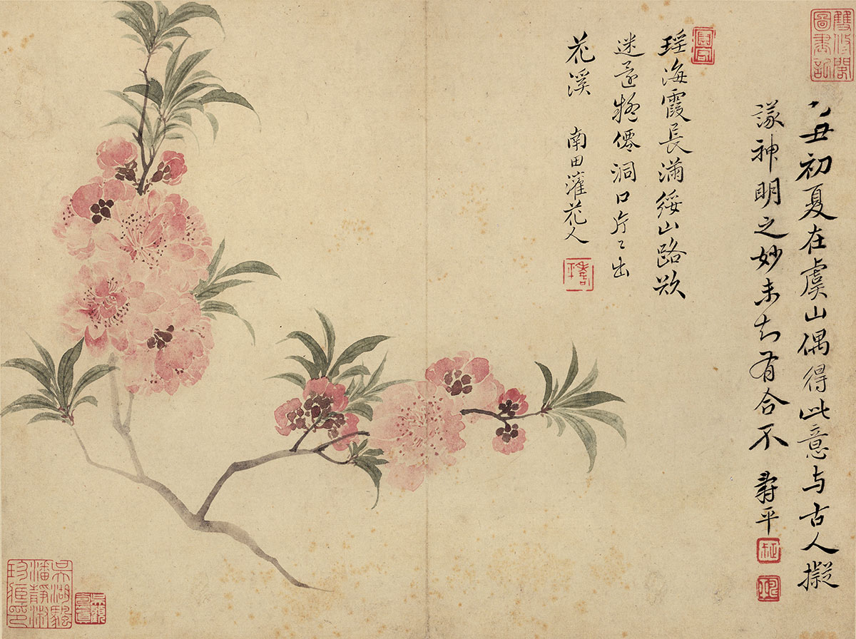 [清] 恽寿平《春花图八开》