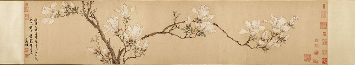 [明] 文徵明《白玉兰图》